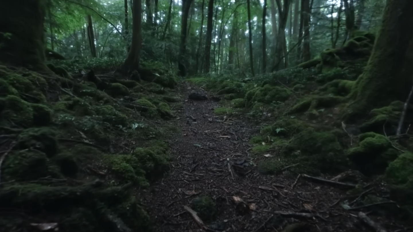 Объект-666